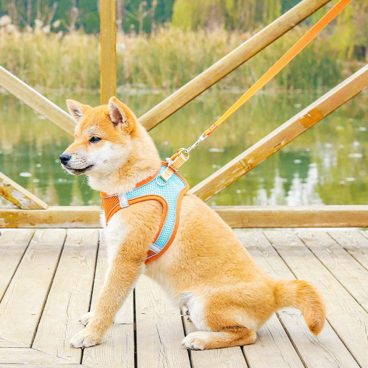 Breathable Reflective Pet Harness Set: Vest-Style Dog Harness + Leash - Pink and Blue-L