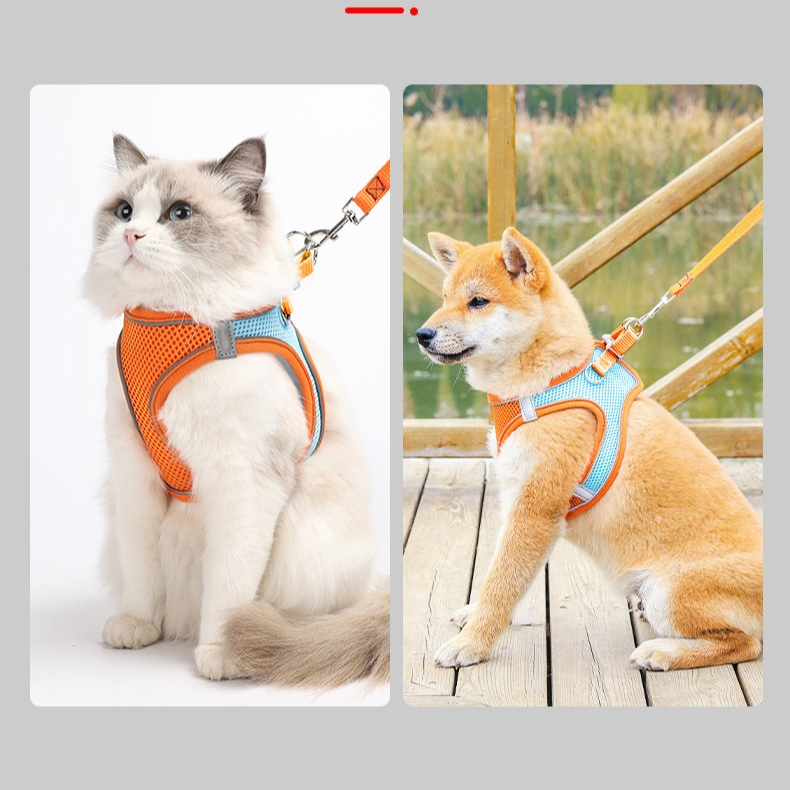 Breathable Reflective Pet Harness Set: Vest-Style Dog Harness + Leash - Pink and Blue-XS