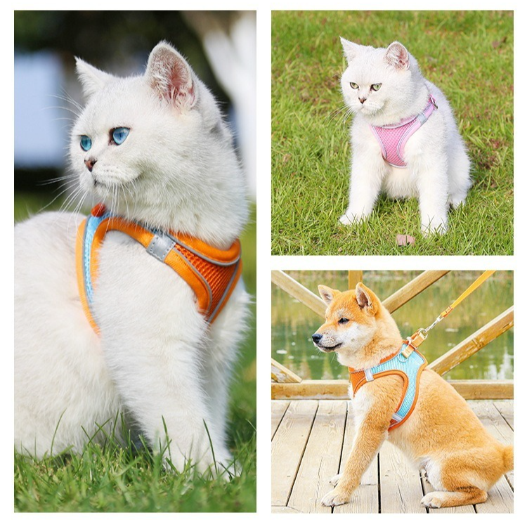 Breathable Reflective Pet Harness Set: Vest-Style Dog Harness + Leash - Blue-L