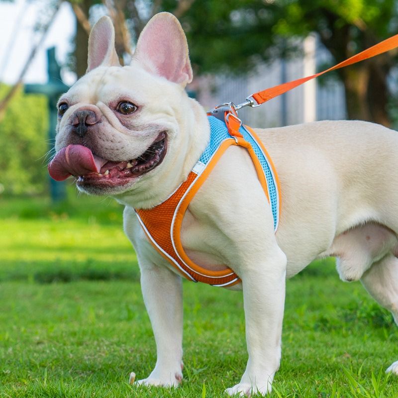 Breathable Reflective Pet Harness Set: Vest-Style Dog Harness + Leash - Blue-S