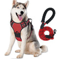 Reflective Dog Harness Leash Set Anti Pull Vest for Pets